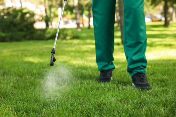 Best Rat Extermination Near Me  in North Decatur, GA
