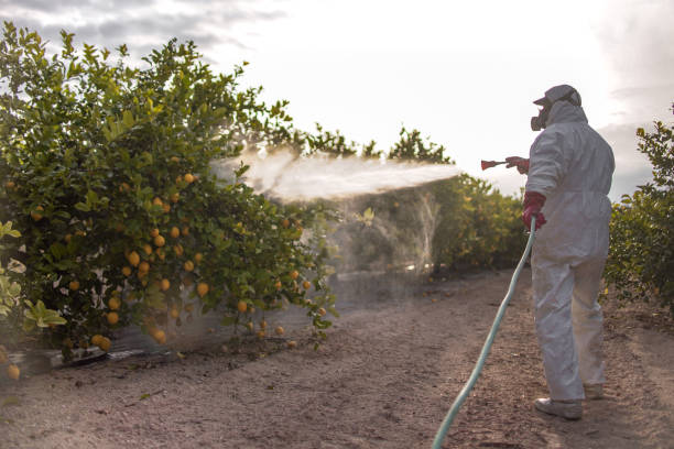 Best Best Pest Control Companies  in North Decatur, GA
