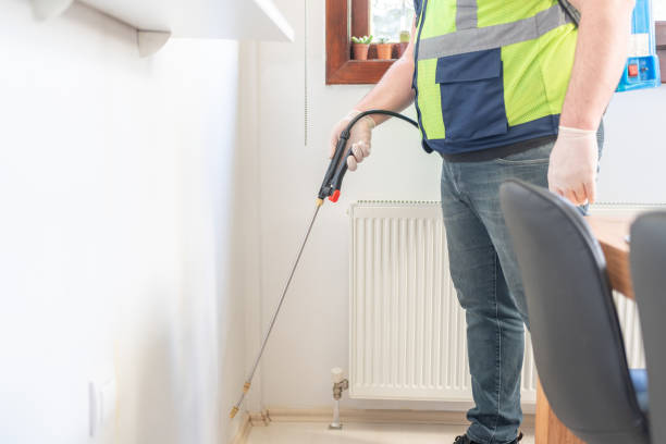 Best Termite Control Services  in North Decatur, GA