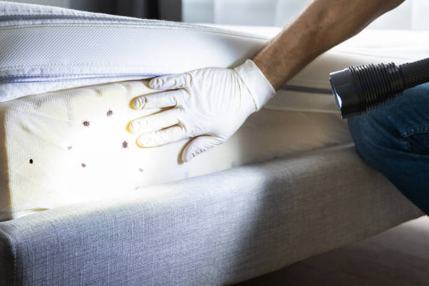 Best Best Pest Control Companies  in North Decatur, GA