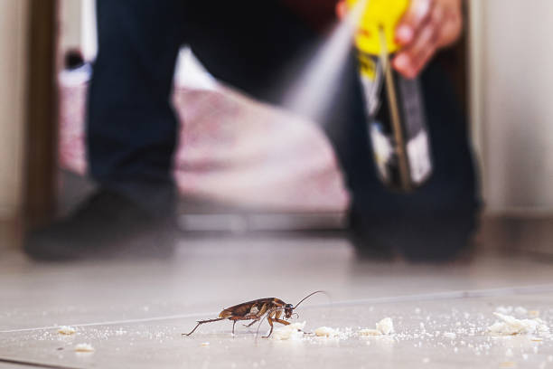 Best Commercial Pest Control Services  in North Decatur, GA