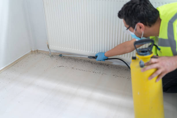 Best Residential Pest Control  in North Decatur, GA