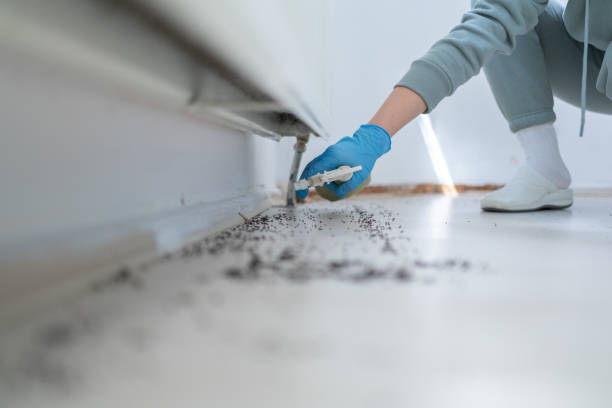 Best Wildlife Control Services  in North Decatur, GA